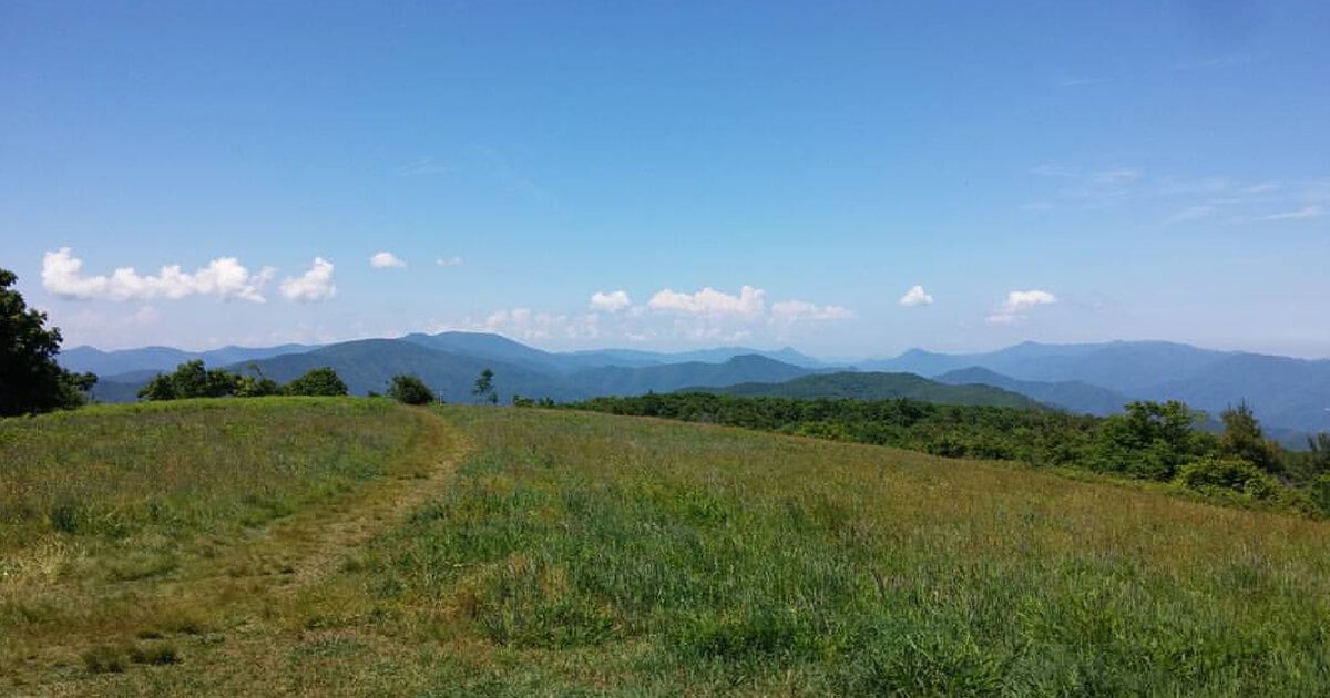 freedom-stories-view-header