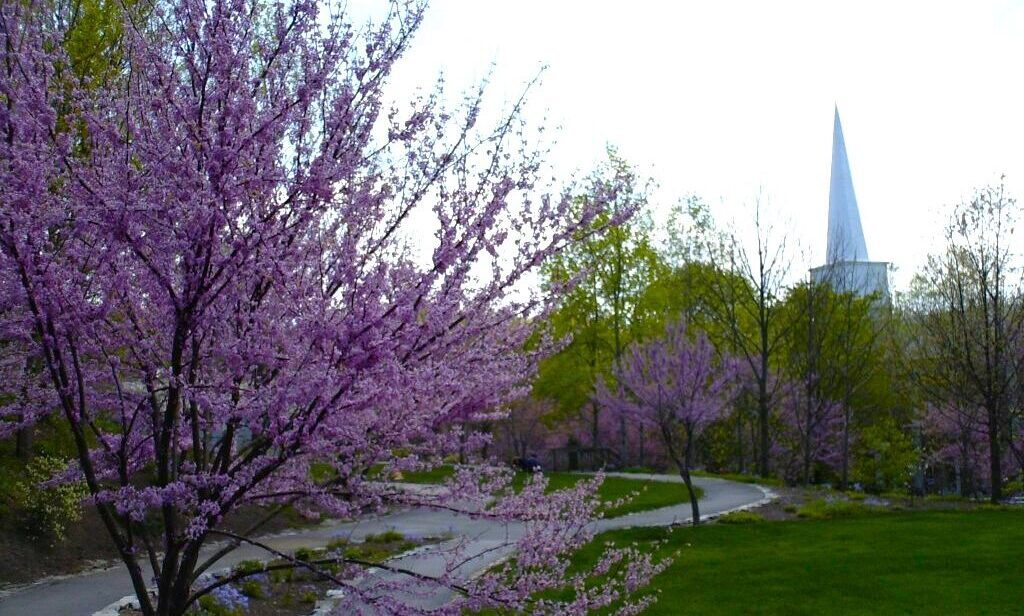 JNS Park